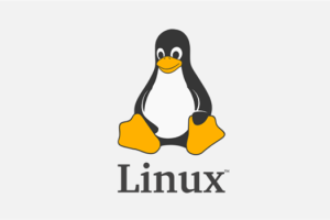 Shell命令与Linux命令的区别