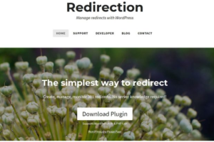 Redirection插件