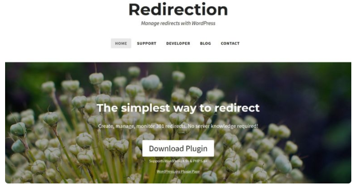 Redirection插件