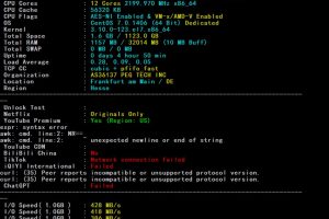 RAKsmart德国裸机云服务器国际BGP线路速度和性能评测