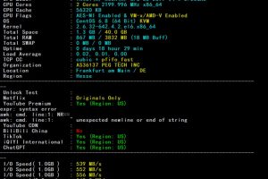 RAKsmart德国云服务器国际BGP线路速度和性能评测