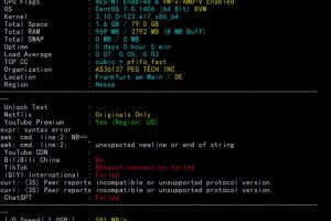 RAKsmart德国VPS国际BGP线路速度和性能评测