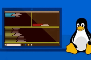 Linux创建或删除文件常用命令