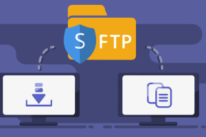 FTP服务器怎么进入