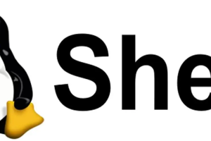 常用的Shell命令