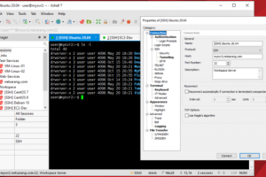 Xshell怎么输入命令