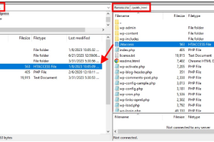 在WordPress中禁用目录浏览