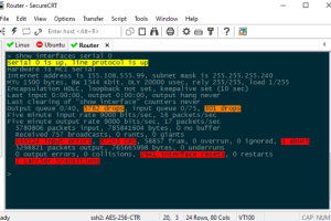SecureCRT怎么输入命令