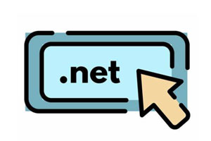 net域名含义