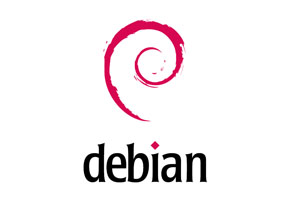 Debian系统查看版本命令