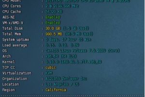 莱卡云美国CN2 VPS速度和性能评测