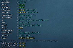 莱卡云香港CN2 VPS速度和性能评测