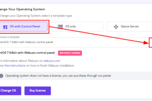 Hostinger国外VPS控制面板许可证购买指南
