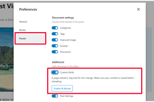 WordPress自定义字段不显示