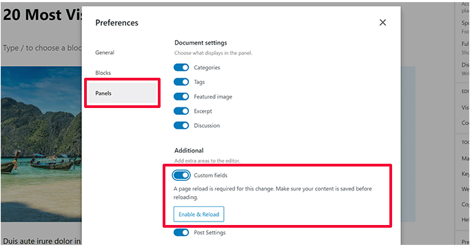 WordPress自定义字段不显示