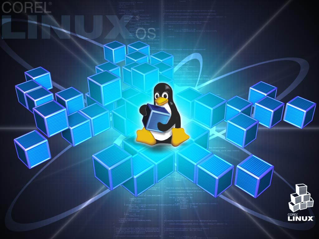 Linux命令