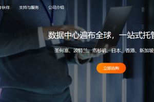 RAKsmart服务器托管服务