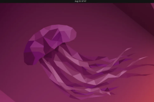 Ubuntu 22.04.3 LTS
