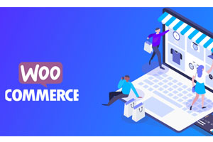 WooCommerce商城网站加速的方法推荐