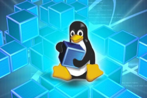 如何在Linux中删除文件和目录