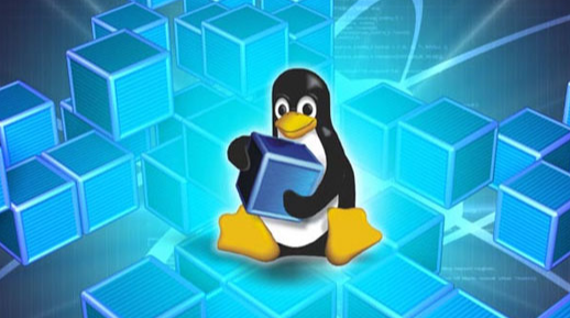 如何在Linux中删除文件和目录