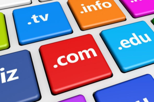 申请一级域名的方法和流程