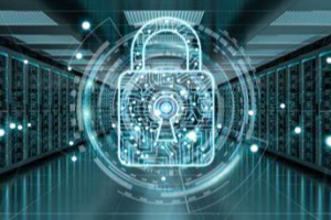 国外免费网站域名服务器查询