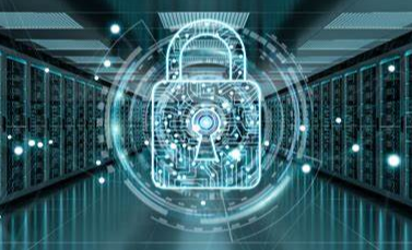 国外免费网站域名服务器查询