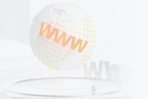 阿里云域名抢注平台价格调整公告