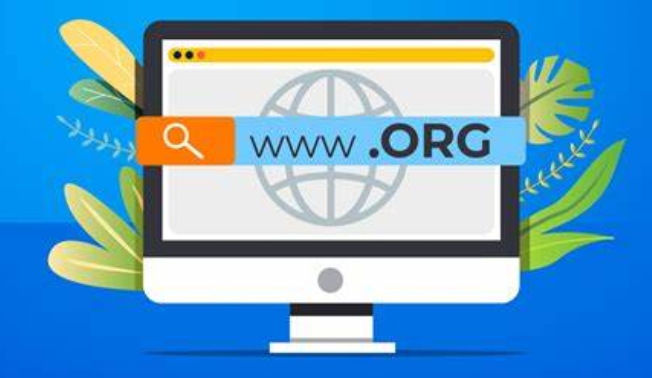 org域名表示什么意思