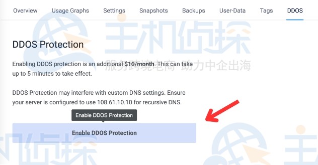 如何启用Vultr DDoS保护