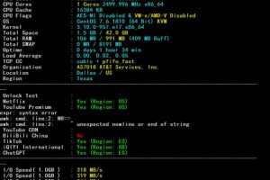 Megalayer美国家庭带宽VPS速度和性能评测
