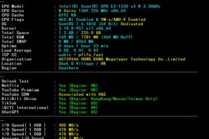 Megalayer香港阿里混合云服务器速度和性能评测