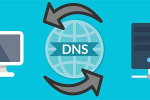 DNS服务器的三种主要类型