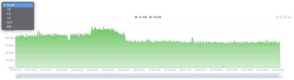 查看RAKsmart美国服务器流量使用情况