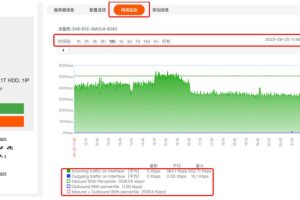 查看RAKsmart美国服务器流量使用情况