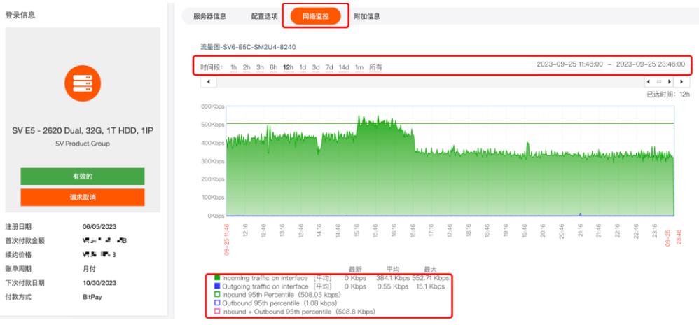查看RAKsmart美国服务器流量使用情况