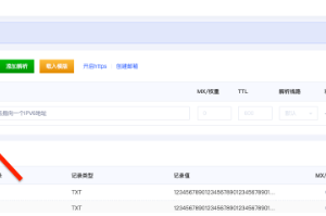 设置Gname域名解析IPv6地址