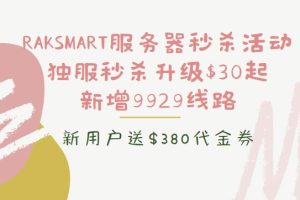 RAKsmart秒杀活动
