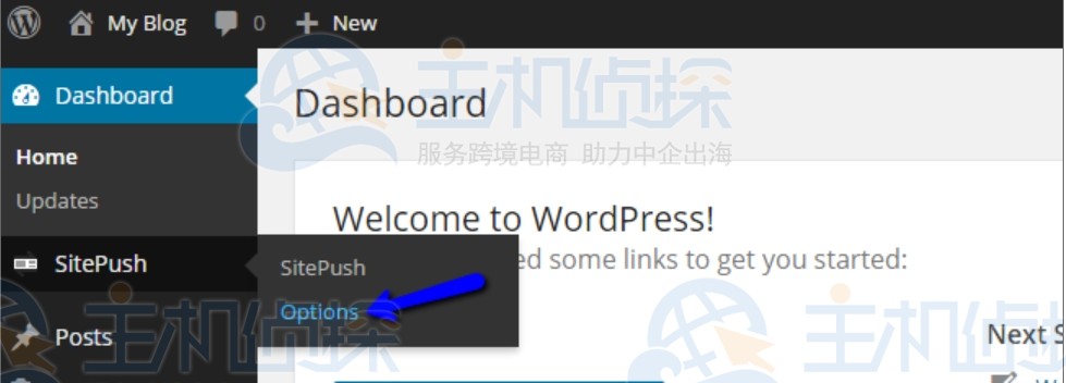 WordPress网站
