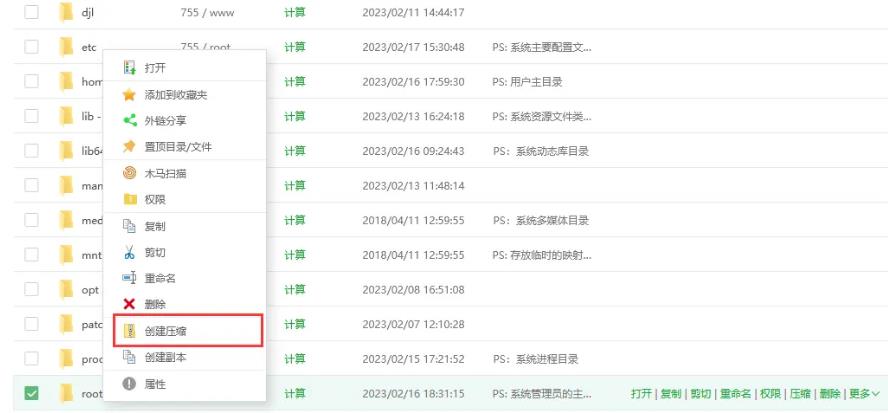 宝塔面板解压缩文件的方法步骤