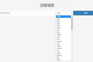 RAKsmart域名注册的基本流程