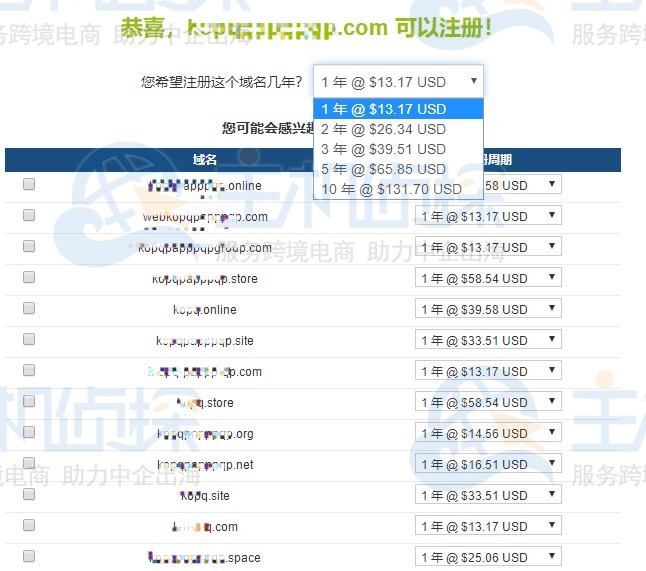 RAKsmart域名注册的基本流程