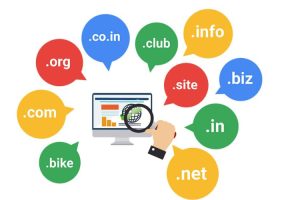 注册一个网站域名一年需要多少钱