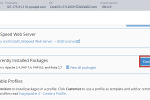 RackNerd VPS安装Node.js教程