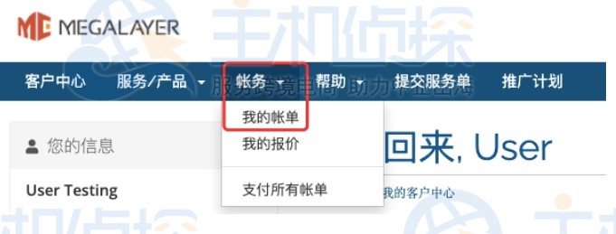 Megalayer服务器到期续费流程