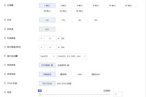 RAKsmart云服务器