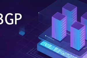 BGP服务器