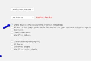 WordPress中的默认暂存推送选项