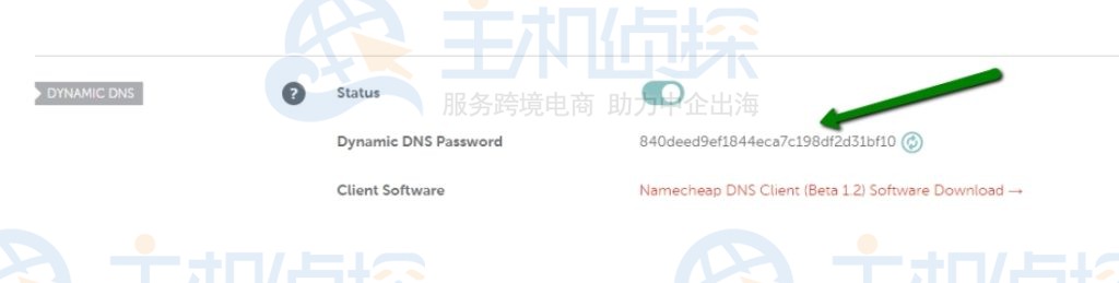 动态DNS密码
